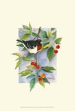 Red-Breasted Grosbeak Poster par Janet Mandel