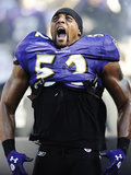 Baltimore Raven and Houston Texans: Ray Lewis Fotografie-Druck von Nick Wass