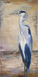 Blue Heron II Posters by Patricia Pinto
