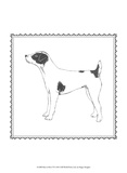 Best in Show VI Art par Megan Meagher