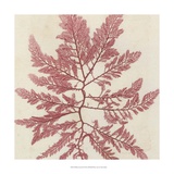 Brilliant Seaweed I Art