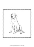 Best in Show XII Affiche par Megan Meagher