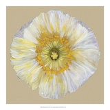 Poppy Blossom II Posters par Alicia Ludwig