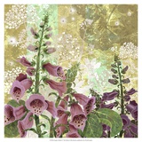 Foxglove Meadow I Lámina por R. Collier-Morales