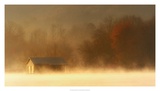 Morning on Spring Creek Poster by Danny Head