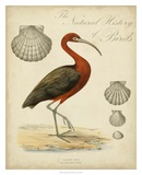 Heron Anthology II Poster
