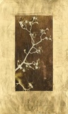 Gold Leaf Branches I Prints by Tang Ling