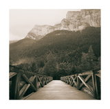 Into the Wilderness Posters av Adam Brock