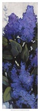 Lilac Spray I Posters par Tim O'toole