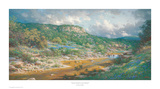 Storm Clouds on the Sabinal Print by Larry Dyke