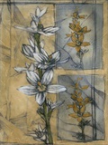 Embellished Wildflower Collage I Láminas por Jennifer Goldberger Embellished Wildflower Collage I Láminas por Jennifer Goldberger