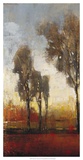 Tall Trees I Posters by Tim O'toole