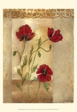 Red Poppies IV Prints by Marianne D. Cuozzo