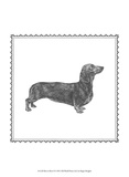 Best in Show X Poster par Megan Meagher