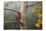 Bluebird Rain Poster von Chris Vest