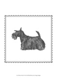 Best in Show IX Prints by Megan Meagher