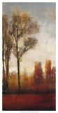 Tall Trees II Prints by Tim O'toole