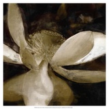 Bronze Lily VI Posters par Noah Bay