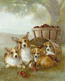 Apple Dumpling Prints by Ruane Manning