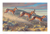 Hi Notes Poster von Nancy Glazier