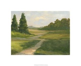 Spring Light VI Edición limitada por Ethan Harper