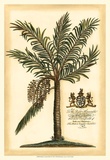 British Colonial Palm II Kunstdrucke