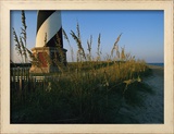Sea Oats Bending in Wind Near the Cape Hatteras Lighthouse Framed Photographic Print by Steve Winter
