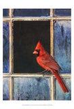 Cardinal Window Poster par Chris Vest