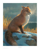 Backlit Beauty Poster von Nancy Glazier