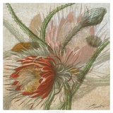 Desert Botanicals II Posters by John Butler