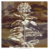 Prairie Mix VI Posters par John Butler