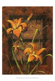 Day Lily II Posters by Janet Stever