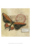 Le Papillon II Posters by Marianne D. Cuozzo