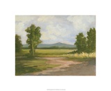 Spring Light III Edición limitada por Ethan Harper