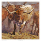 Tex Prints by Ragan Gennusa