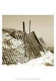 Fences in the Sand I Posters av Noah Bay