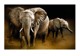 Nightfall Prints by Bobbie Goodrich