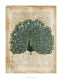 Antiquarian Birds V Posters