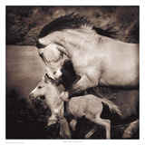 Liberty Dance Prints by Kimerlee Curyl