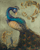 Peacock on Sage II Posters by Tiffany Hakimipour