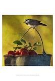 Apples and Chickadee Poster von Chris Vest