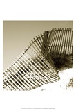 Fences in the Sand III Prints by Noah Bay