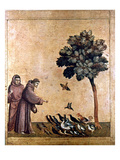 St. Francis Of Assisi Giclee Print
