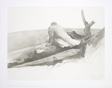 Study for April Wind Pôster por Andrew Wyeth Study for April Wind Pôster por Andrew Wyeth
