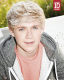 One Direction-Niall Kunstdrucke