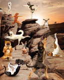 Yoga Dogs-Canyon Posters Yoga Dogs-Canyon Posters