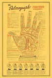 Palmograph Posters