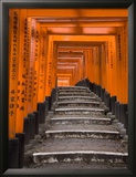Torii Gates, Fushimi Inari Taisha Shrine, Kyoto, Honshu, Japan Framed Photographic Print by Gavin Hellier