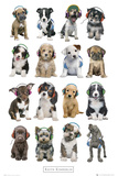 Kimberlin-Puppies Head Phones Prints