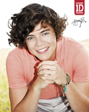 One Direction-Harry Plakat